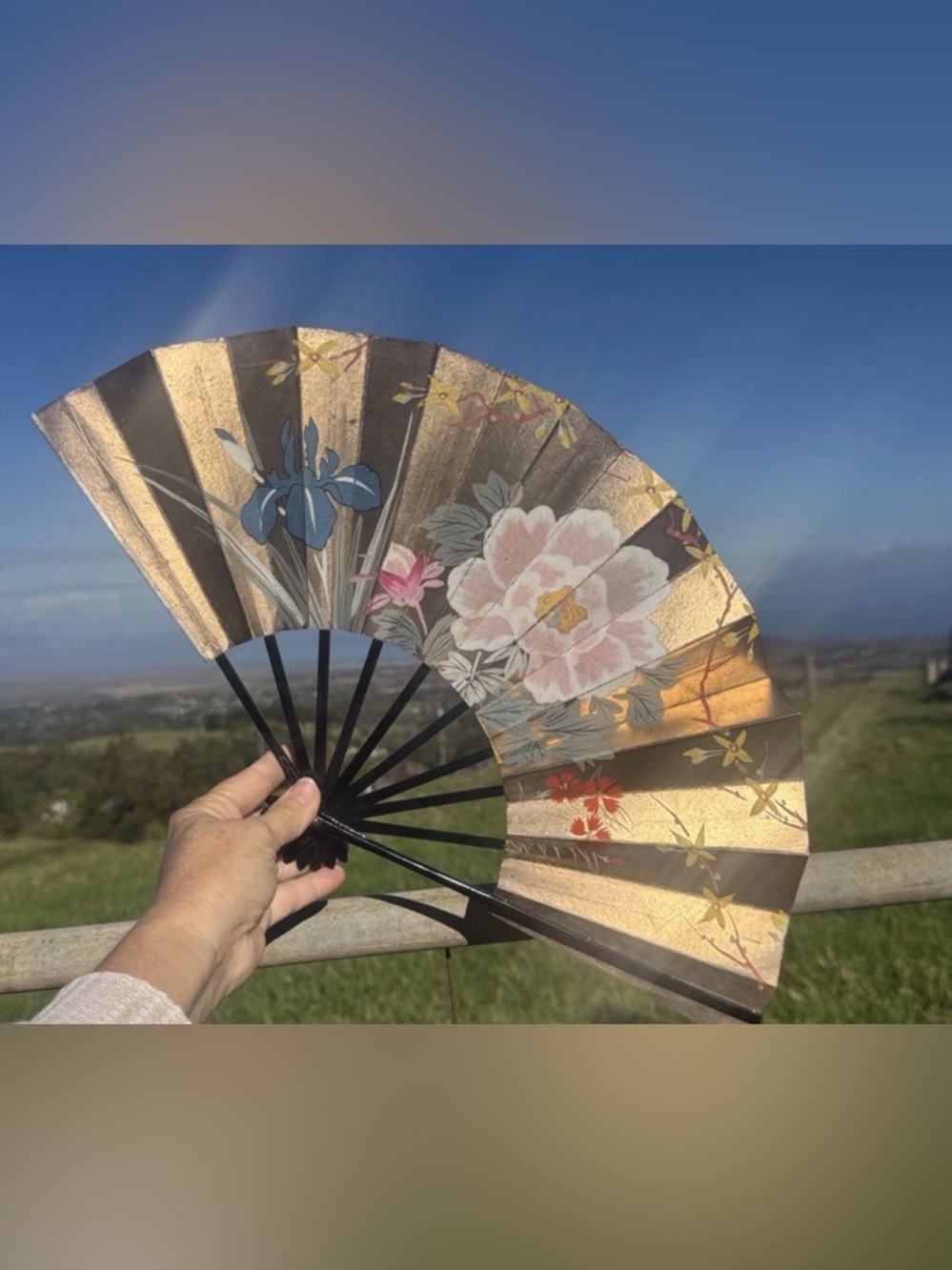 Vintage Japan Traditional Decorative Reversible Sensu Folding Fan w/ Provenance